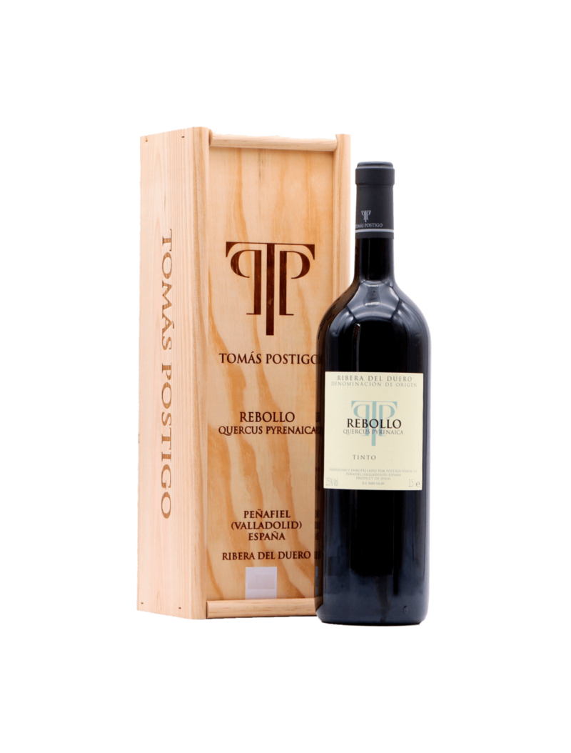 tomas-postigo-rebollo-quercus-pyrenaica